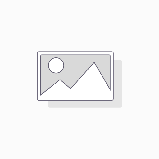 Display iPad Mini 4